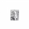 Gel Patch Occhi (1 paio) - immagine 9